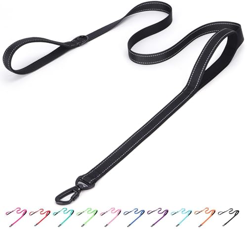 Bbmmayy Reflektierende Nylon-Hundeleine – die robuste Helden-Leine mit zwei Griffen für Nacht-Sicherheitstraining – für kleine, mittelgroße und große Rassen, Schwarz, 1,8 m x 2,5 cm von Bbmmayy