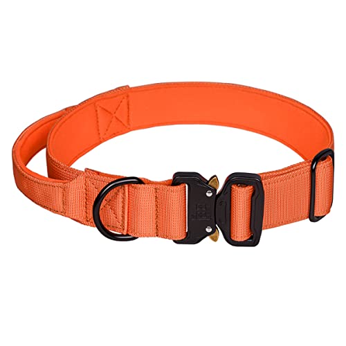 Bbmmayy Taktisches Hundehalsband, Militärisches Hundehalsband für mittelgroße Hunde, verstellbares Nylon Halsbänder mit Griff, dickes Halsband mit Metallschnalle für große Hunde (L, Orange) von Bbmmayy