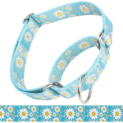 Martingale Halsband für mittelgroße Hunde, Mädchen-Hundehalsband mit Gänseblümchen, strapazierfähig, kein Ziehen, Hundehalsband, Blumendesign, Hundetrainingshalsband, perfekt für Training, Walking, Martingale Halsband für mittelgroße Hunde, Mädchen-Hundehalsband mit Gänseblümchen, strapazierfähig, kein Ziehen, Hundehalsband, Blumendesign, Hundetrainingshalsband, perfekt für Training, Walking, von Bbmmayy