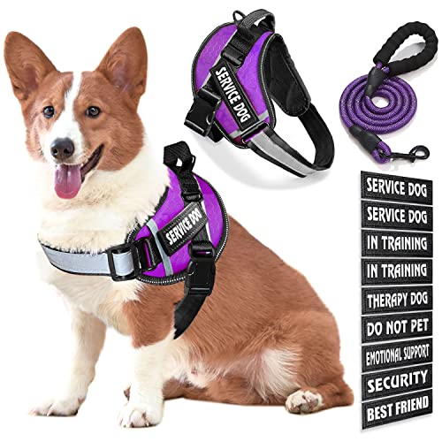Bcadem Service Dog Vest, 9 Dog Patches No Pull Dog Harness and Leash Set with Handle, Easy On and Off Pet Vest Harness with Night Safe Reflective Straps for Small Medium Large Breed Dogs von Bcadem