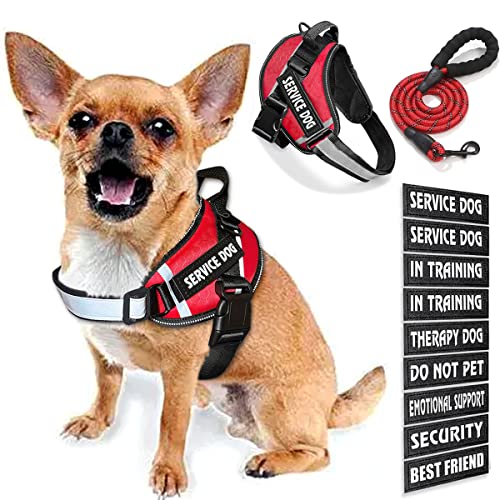 Bcadem Service Dog Vest, 9 Dog Patches No Pull Dog Harness and Leash Set with Handle, Easy On and Off Pet Vest Harness with Night Safe Reflective Straps for Small Medium Large Breed Dogs von Bcadem