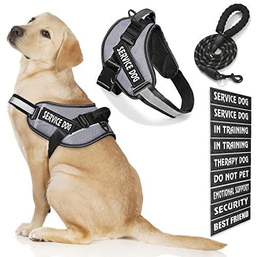Bcadem Service Dog Weste, 9 Dog Patches No Pull Dog Harness and Leash Set with Handle Easy On and Off Pet Vest Harness with Night Safe Reflective Straps for Small Medium Large Breed Dogs von Bcadem