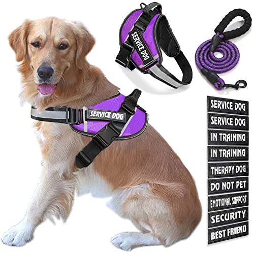 Bcadem Service Dog Weste, 9 Dog Patches No Pull Dog Harness and Leash Set with Handle Easy On and Off Pet Vest Harness with Night Safe Reflective Straps for Small Medium Large Breed Dogs von Bcadem