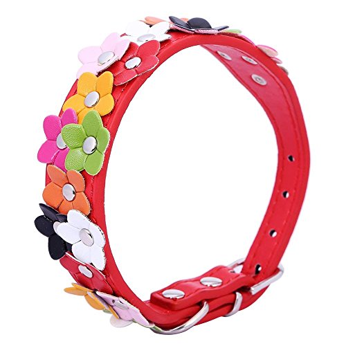 Bcowtte Weiches Leder-Blumen-Hundehalsband gepolstert (Rot, S) von Bcowtte