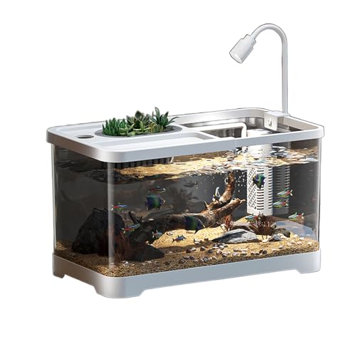 Acrylic Turtle Starter Kit - Adjustable Lamp, Multi-Functional Reptile Habitat for Small Turtles & Reptiles von Bderkz