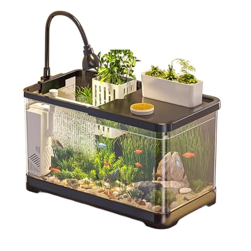 Dekoratives Salzwasseraquarium-Set – Stilvolles Aquarium for Zuhause Dekoratives Salzwasseraquarium-Set – Stilvolles Aquarium for Zuhause von Bderkz