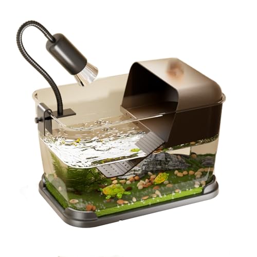Guppy-Aquarium einrichten – Vielseitige Aquarien for die Inneneinrichtung Guppy-Aquarium einrichten – Vielseitige Aquarien for die Inneneinrichtung von Bderkz
