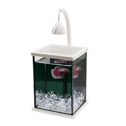 Habitat-Set – verstellbare Lampe, Mehrzonen-Schildkrötenbecken for kleine Reptilien und Amphibien Habitat-Set – verstellbare Lampe, Mehrzonen-Schildkrötenbecken for kleine Reptilien und Amphibien von Bderkz