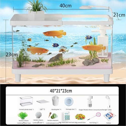 Kleines Schildkrötenbecken Mit Verstellbarer Lampe – Multifunktionales Reptilienterrarium Aus Acryl for Landschildkröten, Krabben Und Kleine Haustiere Kleines Schildkrötenbecken Mit Verstellbarer Lampe – Multifunktionales Reptilienterrarium Aus Acryl for Landschildkröten, Krabben Und Kleine Haustiere von Bderkz