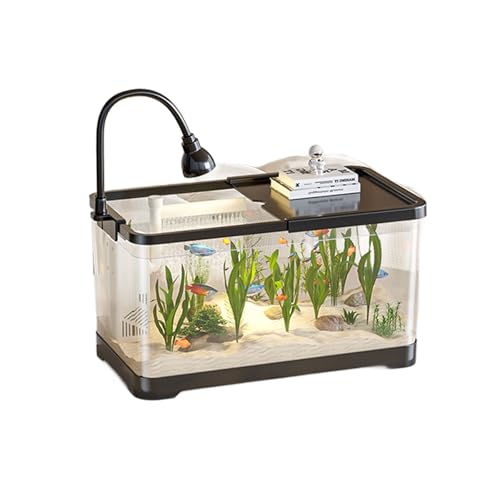 Kleines Tischaquarium Mit LED-Licht Und Wasserpumpe – Ideal for Anfänger, Garnelen, Schnecken Und Kleine Fische Kleines Tischaquarium Mit LED-Licht Und Wasserpumpe – Ideal for Anfänger, Garnelen, Schnecken Und Kleine Fische von Bderkz