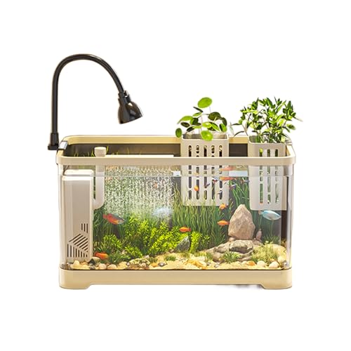 Kompaktes Tischaquarium Mit LED-Licht Und Wasserpumpe – Perfekt for Kinder, Anfänger, Garnelen, Schnecken Und Kleine Fische Kompaktes Tischaquarium Mit LED-Licht Und Wasserpumpe – Perfekt for Kinder, Anfänger, Garnelen, Schnecken Und Kleine Fische von Bderkz