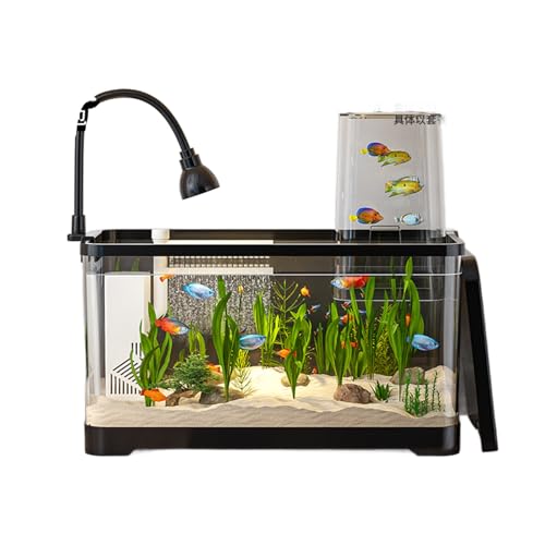 Komplettes Mini-Aquarium-Set – Kunststoff-Aquarium Mit LED-Licht Und Wasserpumpe for Kinder, Anfänger, Garnelen, Schnecken Und Kleine Fische Komplettes Mini-Aquarium-Set – Kunststoff-Aquarium Mit LED-Licht Und Wasserpumpe for Kinder, Anfänger, Garnelen, Schnecken Und Kleine Fische von Bderkz