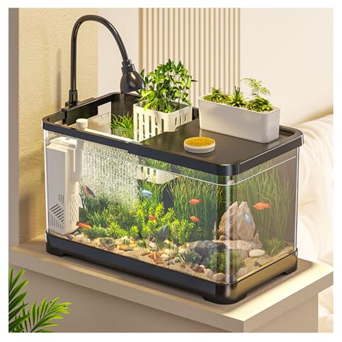 Komplettes Schildkrötenaquarium-Set – Premium-Aquarium for Wasserschildkröten Mit Filter Und Wasserpumpe for Den Lebensraum Von Reptilien Komplettes Schildkrötenaquarium-Set – Premium-Aquarium for Wasserschildkröten Mit Filter Und Wasserpumpe for Den Lebensraum Von Reptilien von Bderkz