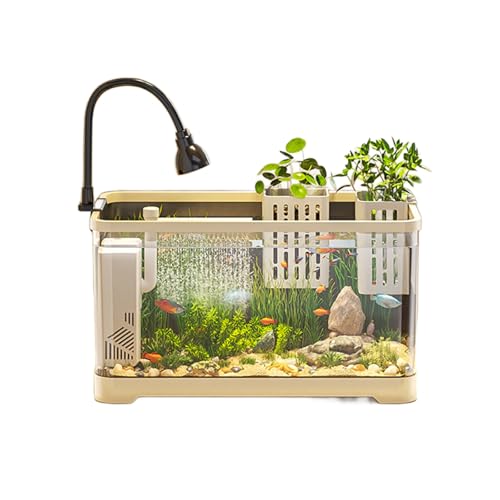 Mini-Aquarium-Set for Anfänger – Kunststoff-Aquarium Mit LED-Licht Und Wasserpumpe, Perfekt for Kinder, Garnelen, Schnecken Und Kleine Fische Mini-Aquarium-Set for Anfänger – Kunststoff-Aquarium Mit LED-Licht Und Wasserpumpe, Perfekt for Kinder, Garnelen, Schnecken Und Kleine Fische von Bderkz