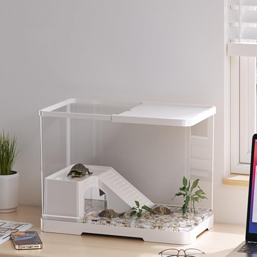 Mini-Aquarium for Den Schreibtisch – Becken for Betta- Und Goldfische, Plastikschale Als Dekoration for Zuhause Und Das Büro von Bderkz