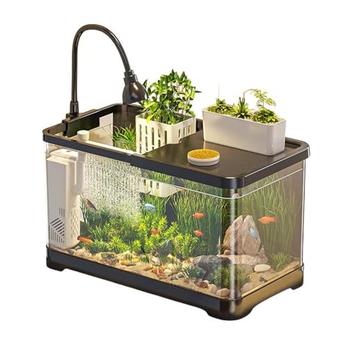 Mini-Aquarium for Den Schreibtisch – Mehrzweck-Aquarium for Kampffische, Goldfischglas Aus Kunststoff Als Bürodekoration Mini-Aquarium for Den Schreibtisch – Mehrzweck-Aquarium for Kampffische, Goldfischglas Aus Kunststoff Als Bürodekoration von Bderkz