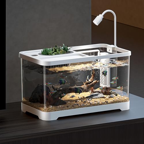 Reptile Habitat Kit for Small Turtles - Acrylic Terrarium with Adjustable Lamp & Multi Areas Reptile Habitat Kit for Small Turtles - Acrylic Terrarium with Adjustable Lamp & Multi Areas von Bderkz