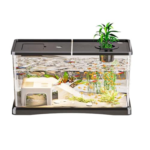 Schildkröten- Und Einsiedlerkrebs-Aquarium Mit Regendusche Und Filter – Idealer Lebensraum for Reptilien Und Krebstiere Schildkröten- Und Einsiedlerkrebs-Aquarium Mit Regendusche Und Filter – Idealer Lebensraum for Reptilien Und Krebstiere von Bderkz