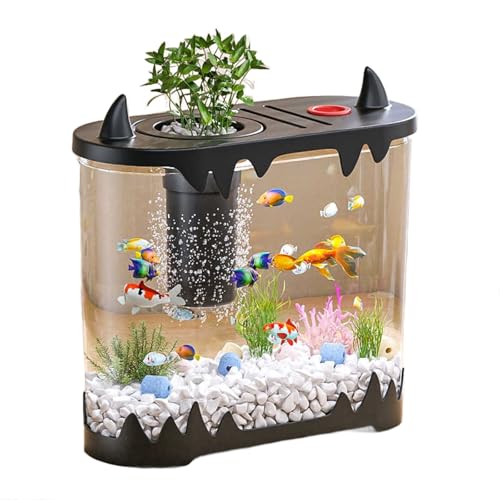 Schildkrötenbecken-Set – Komplettes Starterset Mit Bodenentwässerung for Schildkröten, Krabben, Fische Und Reptilien Schildkrötenbecken-Set – Komplettes Starterset Mit Bodenentwässerung for Schildkröten, Krabben, Fische Und Reptilien von Bderkz