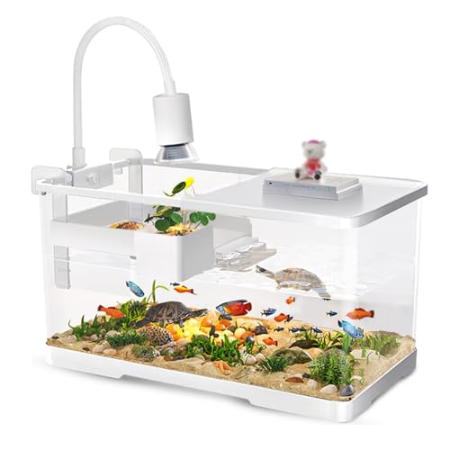 Schildkrötenhabitat-Set for Den Innenbereich – Starter-Aquarium for Babyschildkröten, Reptilien, Amphibien Und Fische Schildkrötenhabitat-Set for Den Innenbereich – Starter-Aquarium for Babyschildkröten, Reptilien, Amphibien Und Fische von Bderkz