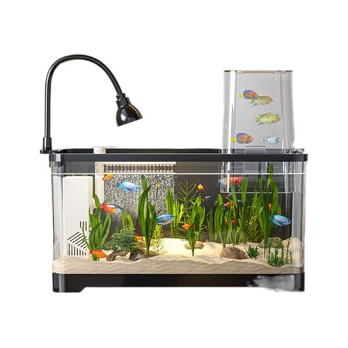 Starter-Set for Wasserschildkröten – Lebensraum for Zimmeraquarien for Babyschildkröten, Reptilien, Fische Und Amphibien Starter-Set for Wasserschildkröten – Lebensraum for Zimmeraquarien for Babyschildkröten, Reptilien, Fische Und Amphibien von Bderkz