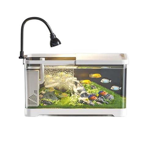 Tisch-Aquarium-Set for Kinder – Mini-Aquarium Mit LED-Licht Und Wasserpumpe, Perfekt for Anfänger, Garnelen, Schnecken Und Kleine Fische Tisch-Aquarium-Set for Kinder – Mini-Aquarium Mit LED-Licht Und Wasserpumpe, Perfekt for Anfänger, Garnelen, Schnecken Und Kleine Fische von Bderkz