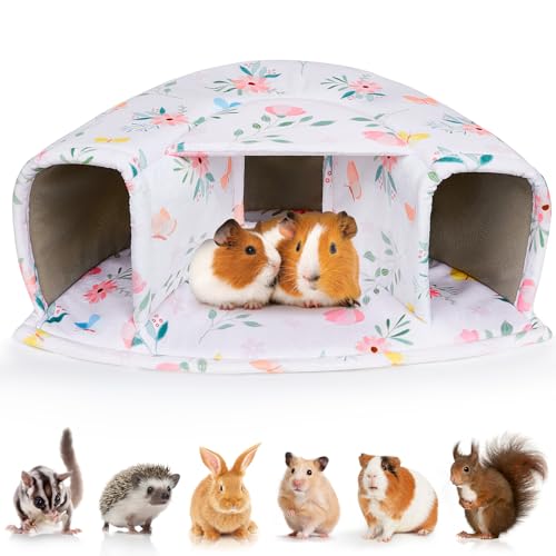 BeBeJoJo Meerschweinchen Bett, Meerschweinchen Versteck, Meerschweinchen Höhle Haus für Frettchen Igel Chinchilla BeBeJoJo Meerschweinchen Bett, Meerschweinchen Versteck, Meerschweinchen Höhle Haus für Frettchen Igel Chinchilla von BeBeJoJo