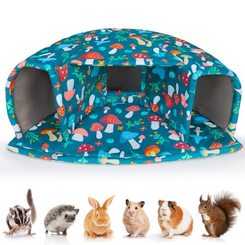 BeBeJoJo Meerschweinchen Bett, Meerschweinchen Versteck, Meerschweinchen Höhle Haus für Frettchen Igel Chinchilla BeBeJoJo Meerschweinchen Bett, Meerschweinchen Versteck, Meerschweinchen Höhle Haus für Frettchen Igel Chinchilla von BeBeJoJo