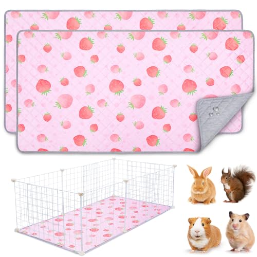 BeBeJoJo Meerschweinchen-Käfigeinlage, waschbar, wiederverwendbar, Meerschweinchen-Matte, wasserdicht, super saugfähig, Erdbeer-Druck, Rosa, 120 x 60 cm, 2 Stück BeBeJoJo Meerschweinchen-Käfigeinlage, waschbar, wiederverwendbar, Meerschweinchen-Matte, wasserdicht, super saugfähig, Erdbeer-Druck, Rosa, 120 x 60 cm, 2 Stück von BeBeJoJo