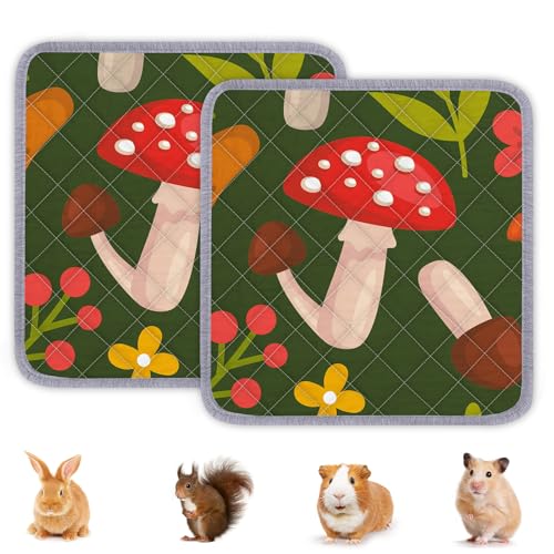 BeBeJoJo Meerschweinchen-Käfigeinlage, waschbar, wiederverwendbar, Meerschweinchenmatte, wasserdicht, super saugfähig, Braun, 30 x 30 cm, 2 Stück BeBeJoJo Meerschweinchen-Käfigeinlage, waschbar, wiederverwendbar, Meerschweinchenmatte, wasserdicht, super saugfähig, Braun, 30 x 30 cm, 2 Stück von BeBeJoJo