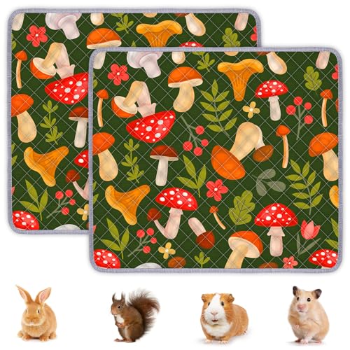 BeBeJoJo Meerschweinchen-Käfigeinlage, waschbar, wiederverwendbar, Meerschweinchenmatte, wasserdicht, super saugfähig, Braun, 70 x 60 cm, 2 Stück BeBeJoJo Meerschweinchen-Käfigeinlage, waschbar, wiederverwendbar, Meerschweinchenmatte, wasserdicht, super saugfähig, Braun, 70 x 60 cm, 2 Stück von BeBeJoJo