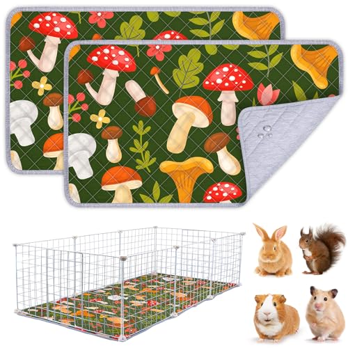 BeBeJoJo Meerschweinchen-Käfigeinlage, waschbar, wiederverwendbar, Meerschweinchenmatte, wasserdicht, super saugfähig, Braun, 74 x 40 cm, 2 Stück BeBeJoJo Meerschweinchen-Käfigeinlage, waschbar, wiederverwendbar, Meerschweinchenmatte, wasserdicht, super saugfähig, Braun, 74 x 40 cm, 2 Stück von BeBeJoJo