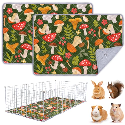 BeBeJoJo Meerschweinchen-Käfigeinlage, waschbar, wiederverwendbar, Meerschweinchenmatte, wasserdicht, super saugfähig, Braun, 91 x 60 cm, 2 Stück BeBeJoJo Meerschweinchen-Käfigeinlage, waschbar, wiederverwendbar, Meerschweinchenmatte, wasserdicht, super saugfähig, Braun, 91 x 60 cm, 2 Stück von BeBeJoJo
