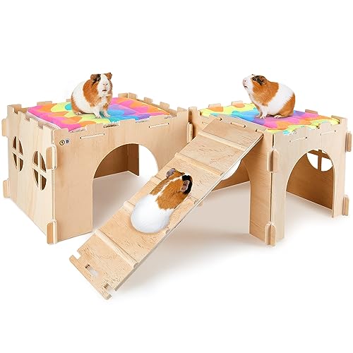 BeBeJoJo Meerschweinchen Versteck Aus Holz,2 Häuser,55x25x20cm,Meerschweinchen Haus Mit Rampe Kaninchenhaus für Kleine Haustiere BeBeJoJo Meerschweinchen Versteck Aus Holz,2 Häuser,55x25x20cm,Meerschweinchen Haus Mit Rampe Kaninchenhaus für Kleine Haustiere von BeBeJoJo