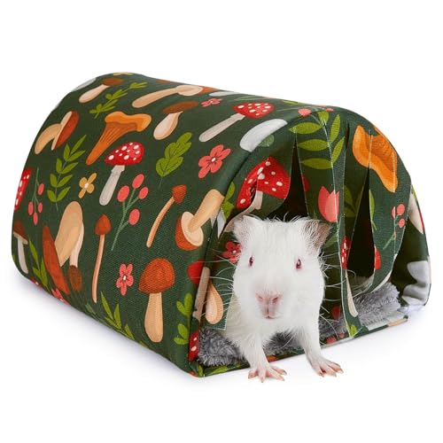 BeBeJoJo Meerschweinchen Bett Kuschelhöhle Höhle Waschbar Kaninchen Kuschelhöhle für Hamster Kaninchen Igel Chinchilla Bartagamen und Frettchen BeBeJoJo Meerschweinchen Bett Kuschelhöhle Höhle Waschbar Kaninchen Kuschelhöhle für Hamster Kaninchen Igel Chinchilla Bartagamen und Frettchen von BeBeJoJo
