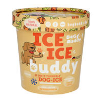 ICE ICE Buddy Hundeeis [Kürbis-Banane - 1 Stück] von BeG Buddy GmbH