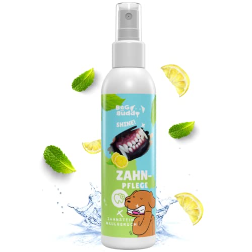 BeG Buddy Dentalspray für Hunde Zahnstein und Maulgeruch, Hund Zahnpflege, [Zahnspray zur Zahnreinigung] frischer Atem von BeG Buddy