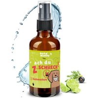 BeG Buddy Zeckenmittel Hund, Zeckenschutz Katzen, Zecke Hund, Zeckenabwehr auf pflanzlicher Basis 100ml von BeG Buddy