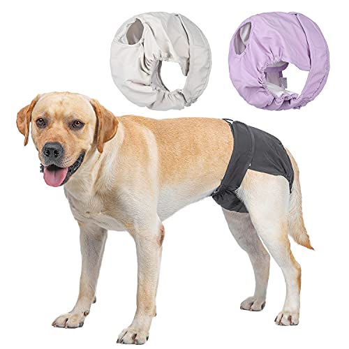 BePetMia Waschbare Windeln für Hunde (Beige+Schwarz+Lila), Hygiene-Unterhose für Hunde in Hitze, 5 Größen XS bis XL, geeignet für alle Hunde (L: 48-65cm, 3-Packs) von BePetMia