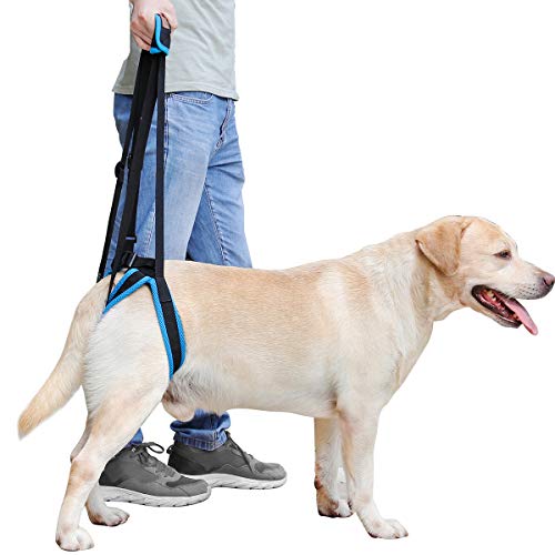 Laufgeschirre für die Hinterbeine, Hilft beim Anheben der Hinterbeine, Unterstützt ältere, Verletzte, Kranke und Behinderte Hunde (L) von BePetMia