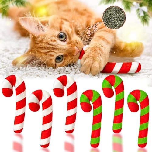 BeYumi 6-teiliges Weihnachts-Katzenminz-Spielzeugset Zimt-Bonbon-Design Hauskatzen-Kauen-Beissen-Hoppeln-Spiel Weihnachts-Geschenk Katzenliebhaber Cute Interaktive Spielzeuge Haustiere (Dreifarben) BeYumi 6-teiliges Weihnachts-Katzenminz-Spielzeugset Zimt-Bonbon-Design Hauskatzen-Kauen-Beissen-Hoppeln-Spiel Weihnachts-Geschenk Katzenliebhaber Cute Interaktive Spielzeuge Haustiere (Dreifarben) von BeYumi