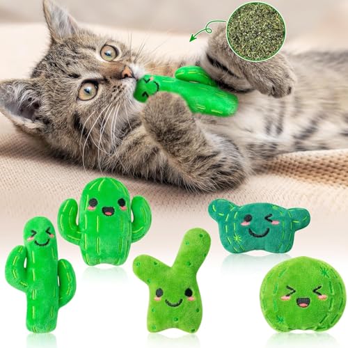 BeYumi Kaktus Stachelpflanzen Katzenminz Spielzeug - 5Pcs Interaktive Katzenspielzeug für Hauskatzen Weiches Plush Grünes Katzen-Zubehör Kätzchen-Zahnreif-Kauspielzeug-Set süße Haustier-Geschenke BeYumi Kaktus Stachelpflanzen Katzenminz Spielzeug - 5Pcs Interaktive Katzenspielzeug für Hauskatzen Weiches Plush Grünes Katzen-Zubehör Kätzchen-Zahnreif-Kauspielzeug-Set süße Haustier-Geschenke von BeYumi
