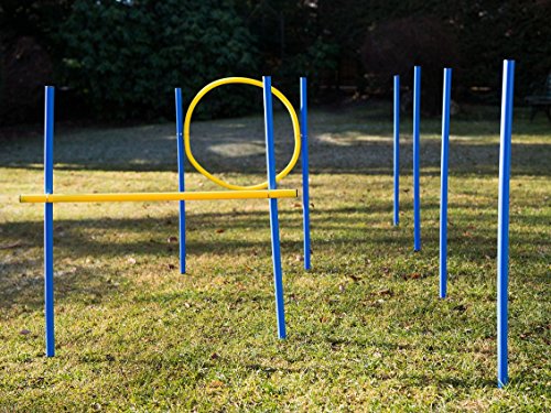 Agility Set für Hunde, Slalomstangen, Hürde und Jumpring, Hundetraining für Zuhause, Hundesport von Zewool