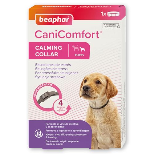 Beaphar CaniComfort® Hundehalsband, 35 cm von beaphar
