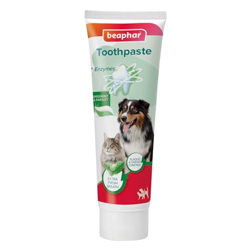 BEAPHAR - Zahnpasta Für Hunde Und Katzen - Schützt Vor Plaque Und Zahnstein - Mit Pfefferminz Und Petersilie Für Frischen Atem - Ohne Fluoride - 100 g BEAPHAR - Zahnpasta Für Hunde Und Katzen - Schützt Vor Plaque Und Zahnstein - Mit Pfefferminz Und Petersilie Für Frischen Atem - Ohne Fluoride - 100 g von Beaphar