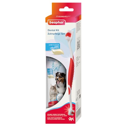 BEAPHAR - Zahnpflege Set Für Hunde Und Katzen - Doppelkopfzahnbürste Und Zahnpasta - Bekämpft Plaque Und Zahnstein - Mit Leber-Geschmack - Ohne Fluoride - Set mit 1 Zahnbürste + 100 g Zahnpasta BEAPHAR - Zahnpflege Set Für Hunde Und Katzen - Doppelkopfzahnbürste Und Zahnpasta - Bekämpft Plaque Und Zahnstein - Mit Leber-Geschmack - Ohne Fluoride - Set mit 1 Zahnbürste + 100 g Zahnpasta von Beaphar