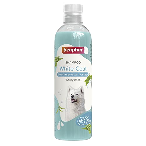 Beaphar Hundeshampoo, weißes Haar, 250 ml, natürliche Extrakte aus Aloe Vera und grünem Tee, pflegt und schützt die Haut und erhält die Haarfarbe, ideal für helle Haare, vegan, pH-neutral, 250 ml Beaphar Hundeshampoo, weißes Haar, 250 ml, natürliche Extrakte aus Aloe Vera und grünem Tee, pflegt und schützt die Haut und erhält die Haarfarbe, ideal für helle Haare, vegan, pH-neutral, 250 ml von Beaphar