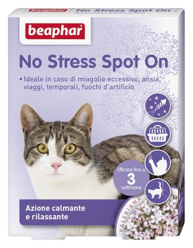 Beaphar No Stress Spot On Katze, beruhigende Katze, 3 Pipetten, beruhigende und entspannende Wirkung, wirkt in 1 Stunde, für eine ruhige und stressfreie Umgebung Beaphar No Stress Spot On Katze, beruhigende Katze, 3 Pipetten, beruhigende und entspannende Wirkung, wirkt in 1 Stunde, für eine ruhige und stressfreie Umgebung von Beaphar