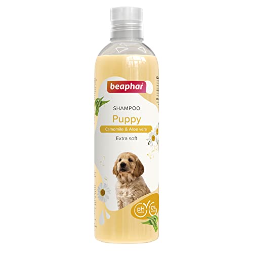 Beaphar Shampoo Welpen, 250 ml, natürliche Extrakte aus Aloe Vera und Kamille, pflegt und schützt Ihre Haut und Ihr Haar, geeignet für empfindliche Haut, extra weich, vegan, pH-neutral, 250 ml Beaphar Shampoo Welpen, 250 ml, natürliche Extrakte aus Aloe Vera und Kamille, pflegt und schützt Ihre Haut und Ihr Haar, geeignet für empfindliche Haut, extra weich, vegan, pH-neutral, 250 ml von Beaphar