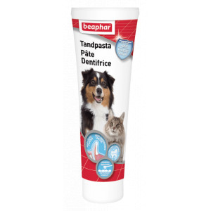 Beaphar Zahnpasta für Hund und Katze 1 Tube Beaphar Zahnpasta für Hund und Katze 1 Tube von Beaphar